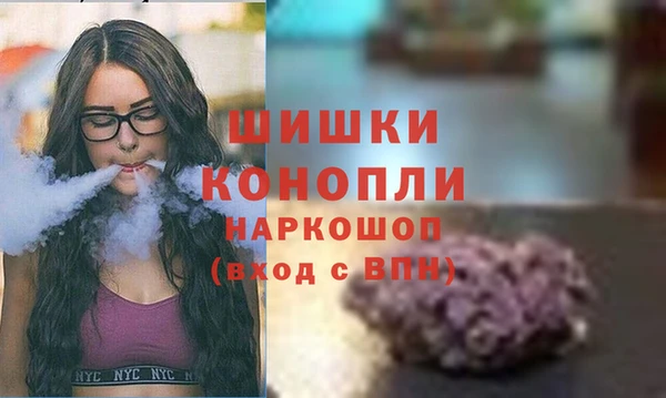 мдпв Кукмор