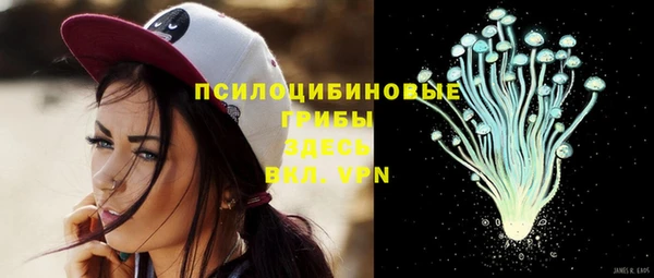 марихуана Абаза