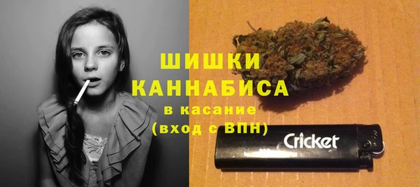 мдпв Кукмор