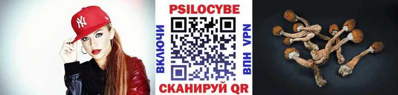 Галлюциногенные грибы прущие грибы  Подпорожье 